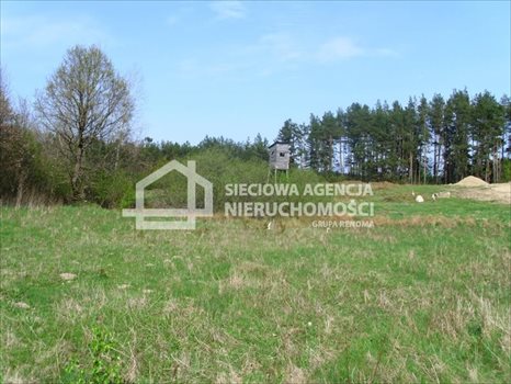 Działka budowlana na sprzedaż Sitno 3 005m2 Foto 3