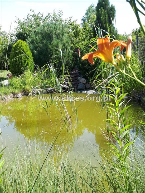 Dom na sprzedaż Jesówka 230m2 Foto 10