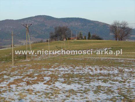 Działka budowlana na sprzedaż Skrzydlna 4 600m2 Foto 1