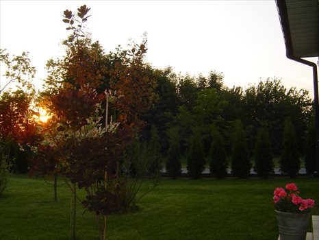 Dom na sprzedaż Łoś 200m2 Foto 12
