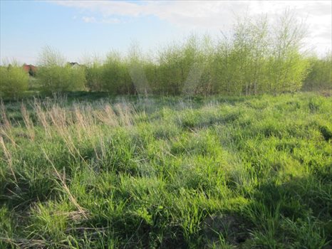 Działka budowlana na sprzedaż Małkowo, Znana 1 192m2 Foto 4
