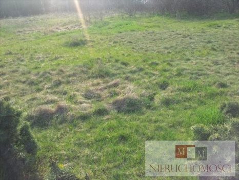 Działka budowlana na sprzedaż Kotórz Mały 800m2 Foto 2