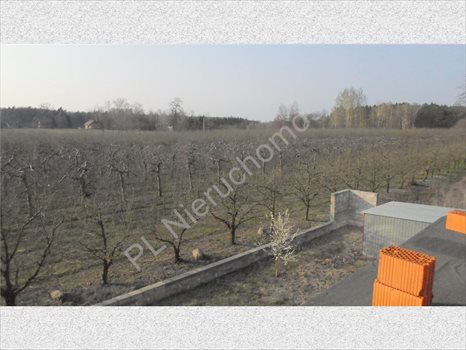 Dom na sprzedaż Książenice 440m2 Foto 8