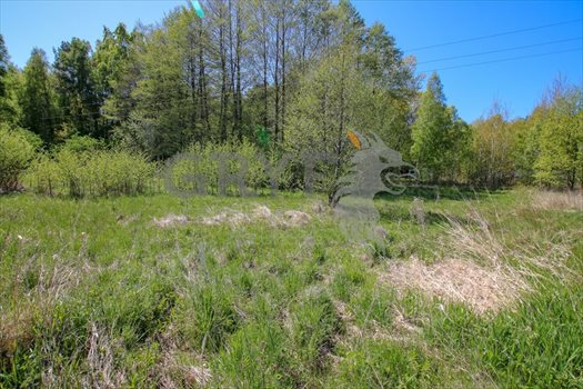 Działka inna na sprzedaż Dębina, Dębina 1 164m2 Foto 3