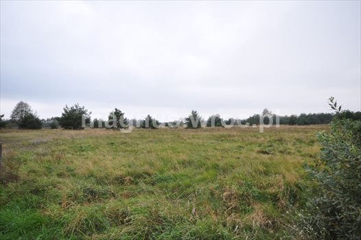 Działka budowlana na sprzedaż Chrząstawa Wielka 1 126m2 Foto 4