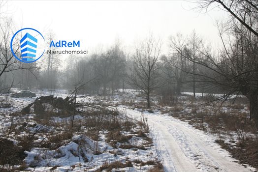 Działka rolna na sprzedaż Okrzeszyn 10 000m2 Foto 3