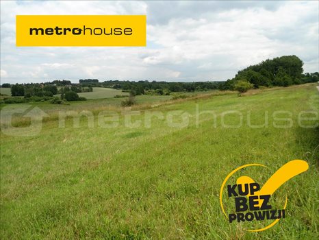 Działka inna na sprzedaż Jankowo, Pobiedziska 27 000m2 Foto 1