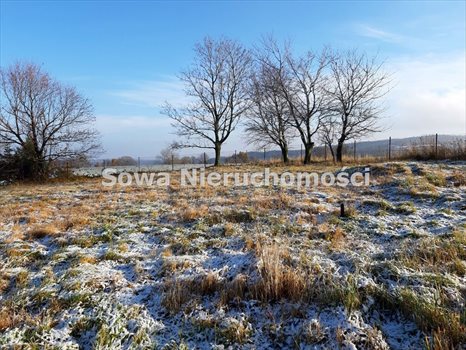Działka inna na sprzedaż Wałbrzych, Rusinowa 1 400m2 Foto 11
