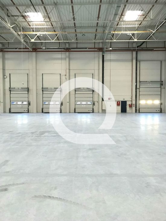 Lokal użytkowy na wynajem Elbląg 2 500m2 Foto 6