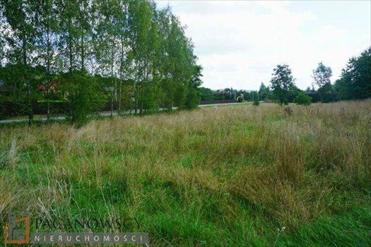 Działka budowlana na sprzedaż Michałowice 2 000m2 Foto 2