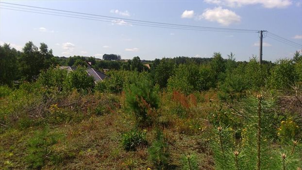 Działka budowlana na sprzedaż Kielno, BOŻANKA, MATEJKI 1 131m2 Foto 9