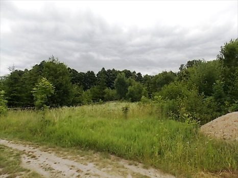 Działka rekreacyjna na sprzedaż Żywy 4 393m2 Foto 4
