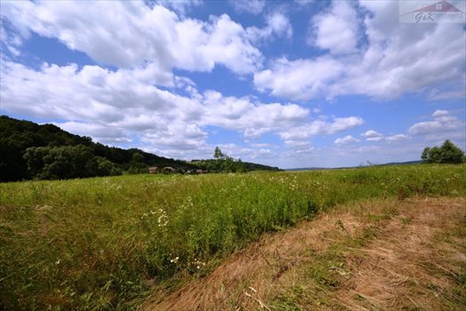 Działka rekreacyjna na sprzedaż Bachórzec 3 600m2 Foto 5