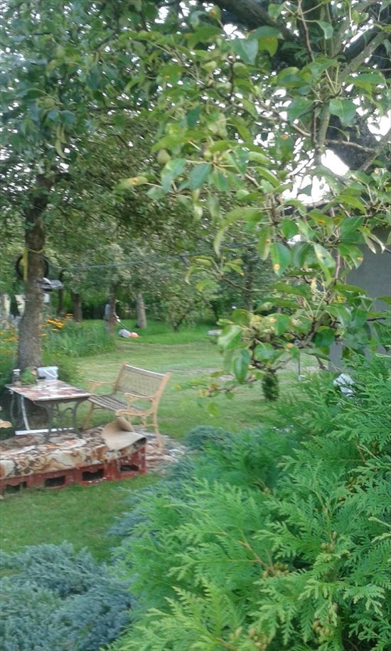 Działka budowlana na sprzedaż Serock 1 245m2 Foto 7