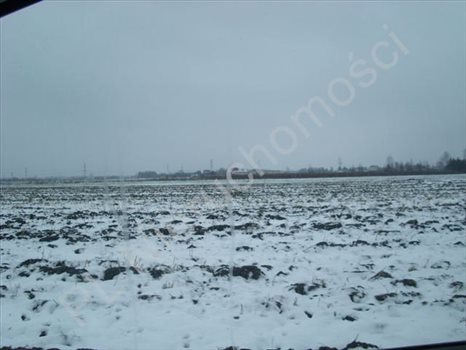 Działka budowlana na sprzedaż Pruszków 1 583m2 Foto 3