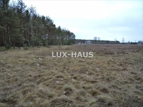 Działka budowlana na sprzedaż Prądocin 921m2 Foto 8