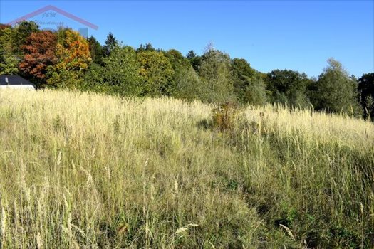 Działka inna na sprzedaż Drawsko Pomorskie, Jezioro, Las, Park, Rzeka, Tereny rekreacyjne, Okrzei 982m2 Foto 9