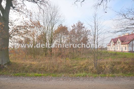 Działka budowlana na sprzedaż Pieńkowo 665m2 Foto 5