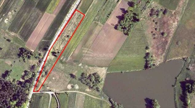 Działka rolna na sprzedaż Zabagnie 5 459m2 Foto 3