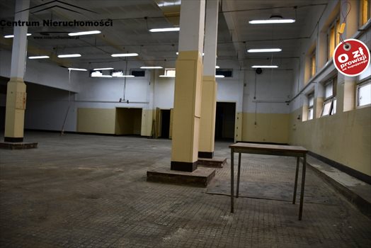 Lokal użytkowy na wynajem Świecie 1 600m2 Foto 9