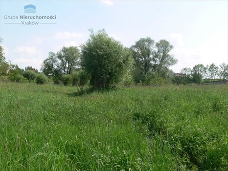 Działka budowlana na sprzedaż Masłomiąca, Choinkowa 1 200m2 Foto 5