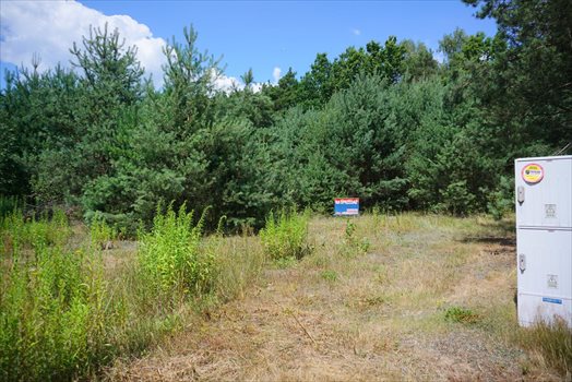 Działka budowlana na sprzedaż Osowiec 2 100m2 Foto 11