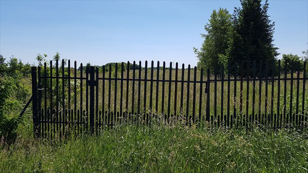 Działka budowlana na sprzedaż Jezierzany 5 000m2 Foto 3