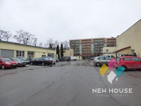 Lokal użytkowy na wynajem Olsztyn, Pojezierze, Kołobrzeska 32m2 Foto 3