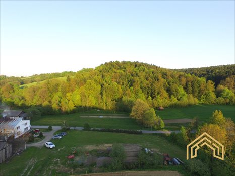 Działka budowlana na sprzedaż Lecka 5 000m2 Foto 4