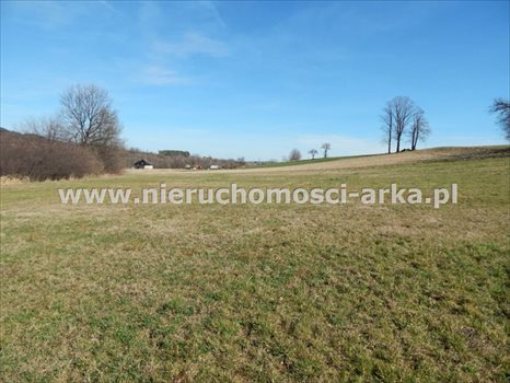 Działka budowlana na sprzedaż Skrzydlna 922m2 Foto 3