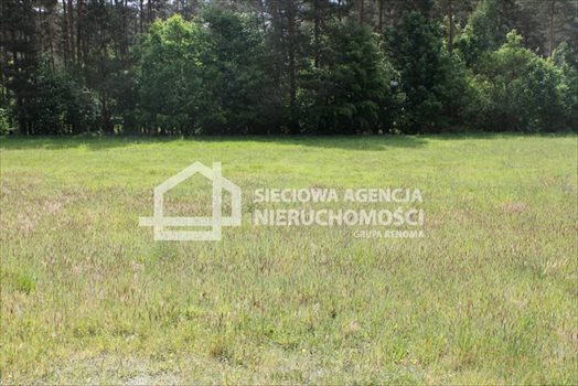Działka budowlana na sprzedaż Lubowidz 950m2 Foto 3