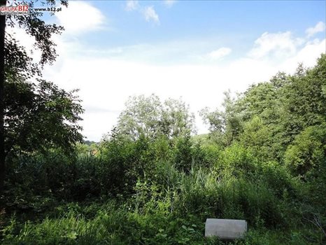 Działka budowlana na sprzedaż Lednica Górna, Lednica Górna, Lednica Górna 3 000m2 Foto 3
