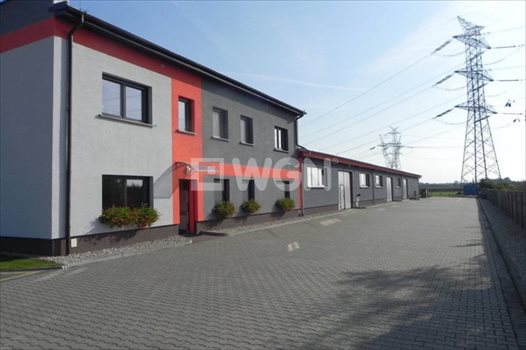 Lokal użytkowy na sprzedaż Ostrów Wielkopolski, Wysocko Wielkie, Wylotowa 1 234m2 Foto 2