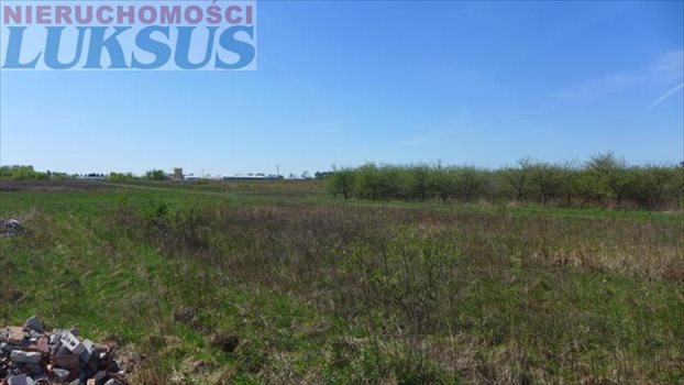 Działka budowlana na sprzedaż Grzędy 1 717m2 Foto 8