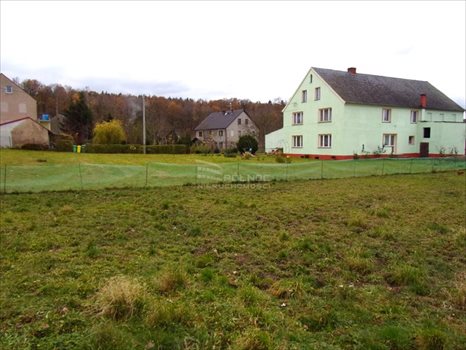 Lokal użytkowy na sprzedaż Golnice 200 000m2 Foto 5