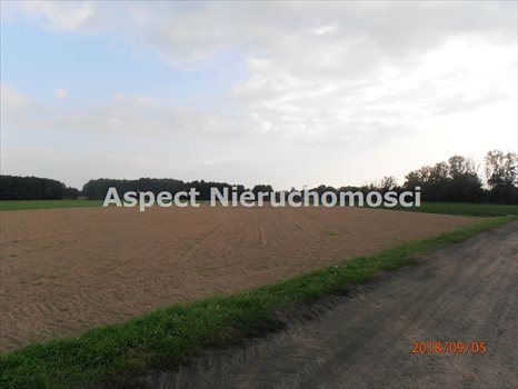 Działka rolna na sprzedaż Pamiętna 74 900m2 Foto 6