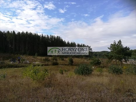 Działka budowlana na sprzedaż Bojano 3 932m2 Foto 11