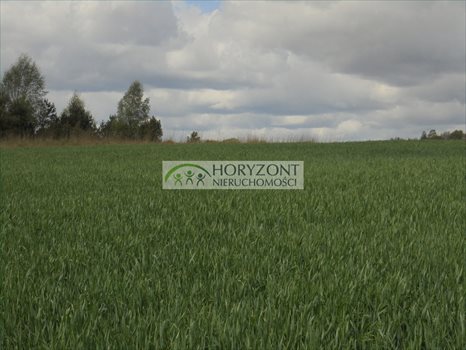 Działka inna na sprzedaż Ostrzyce 1 090m2 Foto 5