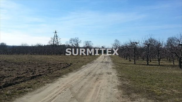 Działka budowlana na sprzedaż Jeziorzany 81 850m2 Foto 6