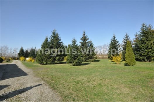 Działka inwestycyjna na sprzedaż Groblice 9 024m2 Foto 5