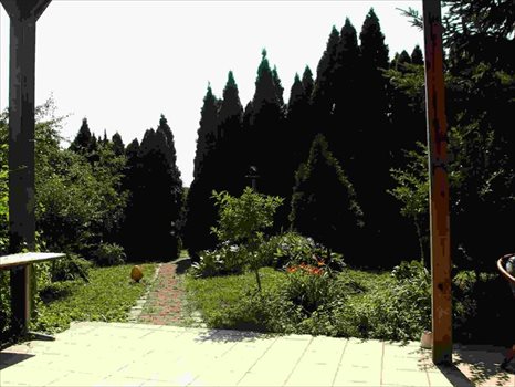 Dom na sprzedaż Osiek, osiek 247m2 Foto 5