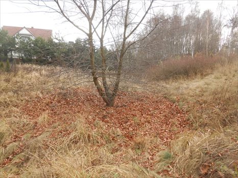 Działka budowlana na sprzedaż Poznań, Zieliniec, Sarnia 1 029m2 Foto 4