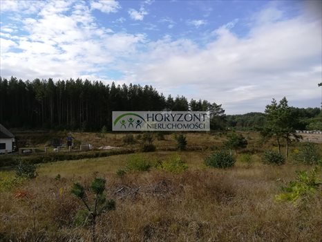 Działka budowlana na sprzedaż Bojano 3 932m2 Foto 13
