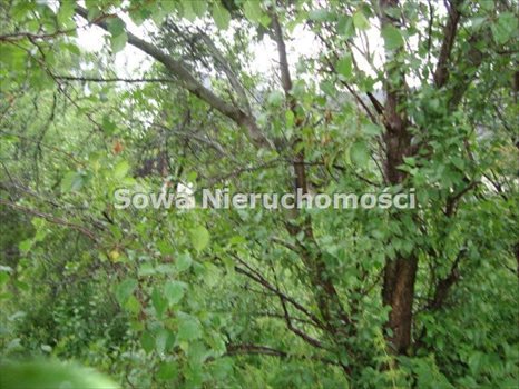 Działka inna na sprzedaż Wałbrzych, Gaj 2 900m2 Foto 3