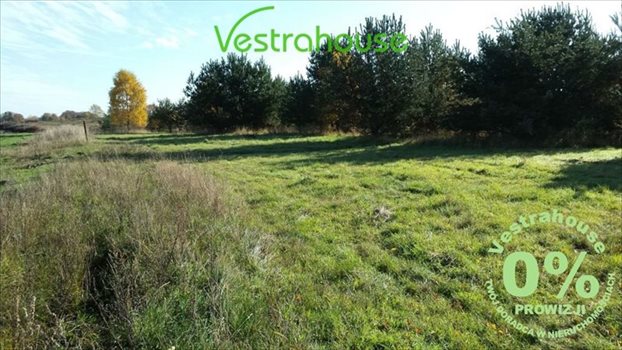 Działka rolna na sprzedaż Główczyce 5 026m2 Foto 5