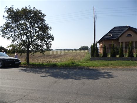 Działka budowlana na sprzedaż Ceradz Dolny 6 786m2 Foto 3