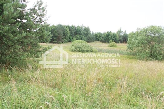 Działka budowlana na sprzedaż Sitno 3 664m2 Foto 7