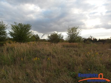 Działka budowlana na sprzedaż Wołczkowo 1 050m2 Foto 1