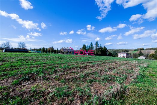 Działka budowlana na sprzedaż Błędowa Zgłobieńska 5 000m2 Foto 2