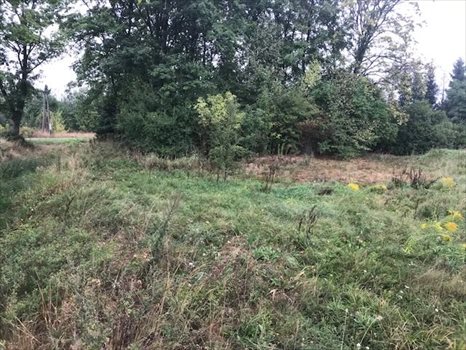 Działka budowlana na sprzedaż Henryków Lubański 1 511m2 Foto 3